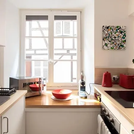 Le Faisan - Bel Appt A 200m De La Cathedrale Strasbourg